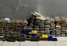 PM desarticula depósito de drogas e apreende 174 kg de entorpecentes em Porto Velho