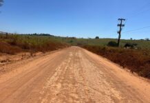 Indicação da deputada Lebrinha solicita recuperação da RO-010 em Nova Brasilândia