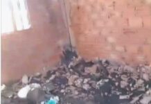 VÍDEO: Incêndio destrói residência após possível desentendimento familiar em Cerejeiras