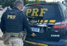 PRF prende mulher com 5,5 kg de maconha, cumpre mandados de prisão e recupera moto adulterada em RO