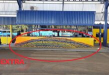 PRF apreende mais de uma tonelada de drogas durante fiscalização na BR-364 em Vilhena