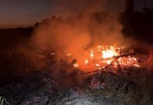 PF prende homem por queimada ilegal em Itapuã d’Oeste durante operação “Sentinelas da Amazônia”