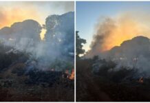 Polícia Federal prende suspeitos por queimada ilegal durante operação em Rondônia