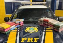 PRF apreende mais de 25 kg de skunk com casal na BR-364 em Vilhena