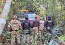 PF e ICMBio destroem maquinário e acampamentos em operação contra crimes ambientais em RO