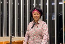 Sílvia Cristina defende aprovação da PEC 169, que permite acumular cargo de professor com outra função