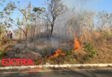 Polícia conduz três jovens à delegacia após incêndio criminoso em área de mata nos fundos do Shopping Jardins em Vilhena