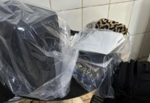 PF deflagra operação em cidade de RO contra abuso sexual infantil e faz prisão em SP