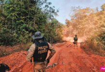 Operação “Sentinelas da Amazônia” completa dois meses com redução de queimadas e prisões por crimes ambientais em RO