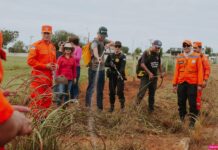 Com 10 vagas ofertadas, prefeitura divulga lista de inscritos no Seletivo de Brigadista em Vilhena