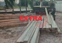 PM apreende caminhão carregado com madeira irregular em Chupinguaia