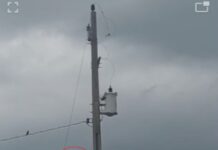 VÍDEO: Morador denuncia descaso da Energisa com comunidade rural em Corumbiara