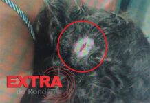 Homem agride companheira e a empurra contra meio-fio durante discussão em Vilhena