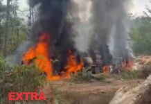 PF e IBAMA deflagram operação contra exploração ilegal de madeira em Terra Indígena Roosevelt em RO