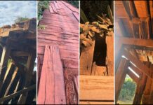 Ponte sobre o Rio Cabixi, na divisa entre Comodoro e RO, preocupa moradores por falta de manutenção