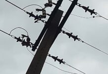 VÍDEO: morador de Corumbiara agradece EXTRA após solução de problema na rede elétrica