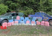 Apreensão de drogas em Rondônia