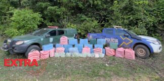 Apreensão de drogas em Rondônia