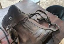 Homem procura polícia após reconhecer arreio furtado em publicação nas redes sociais em Chupinguaia