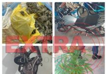 PM apreende drogas, armas e munições em residência e prende dois suspeitos em Vilhena