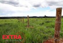 Criadora de bois de rodeio é acusada de causar prejuízo a vizinho após rompimento de cerca em propriedade rural de Chupinguaia