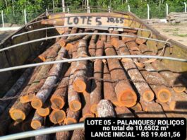 POLÍCIA AMBIENTAL ABRE EDITAL PARA LEILÃO DE MADEIRA APREENDIDA EM VILHENA