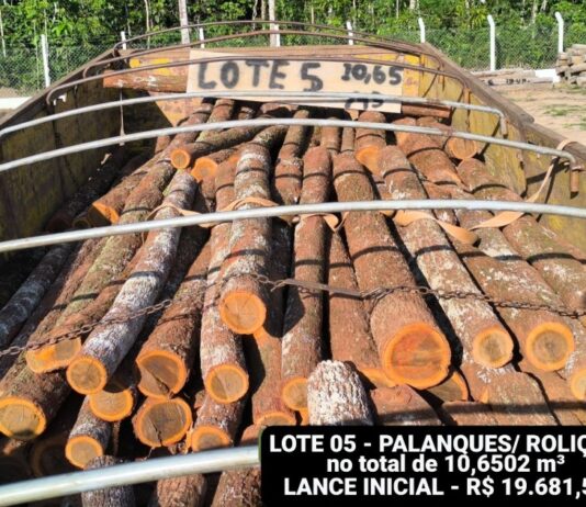 POLÍCIA AMBIENTAL ABRE EDITAL PARA LEILÃO DE MADEIRA APREENDIDA EM VILHENA