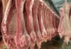 Embarques de carne suína crescem 10,1% em outubro e registra segundo melhor resultado da história