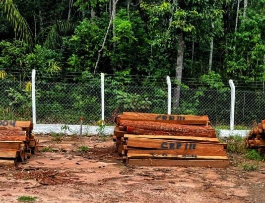 Polícia Militar realiza leilão de madeira Itaúba apreendida em Vilhena; leia edital