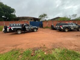 Operação conjunta cumpre mandados de busca e apreensão em depósitos ilegais de madeiras em Vilhena