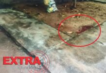 Mulher é presa após esfaquear homem durante desentendimento em Cerejeiras