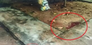 Mulher é presa após esfaquear homem durante desentendimento em Cerejeiras