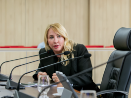 Ieda Chaves propõe Auxílio Material Escolar aos estudantes e priorização da economia local