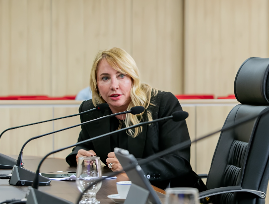 Ieda Chaves propõe Auxílio Material Escolar aos estudantes e priorização da economia local