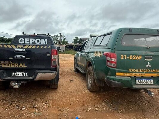 PF deflagra operação contra garimpo e extração ilegal de madeira em RO