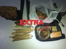 Cão farejador encontra droga em ônibus durante operação em distrito de Chupinguaia