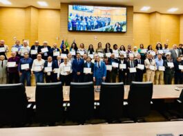 Eyder Brasil condecora profissionais do CREA-RO