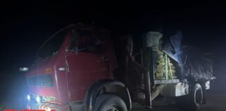 Carga de madeira sem documentação ambiental é apreendida em Chupinguaia