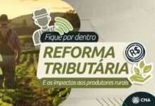 Reforma Tributária altera a emissão da nota fiscal do produtor