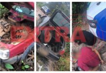 VÍDEO: veículo furtado é recuperado durante desmanche em área de mata em Vilhena