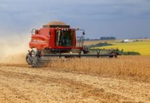 Preços da soja têm espaço para mais baixas no Brasil até que passe o pico da colheita
