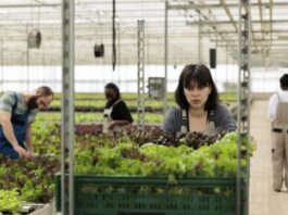 Escassez de mão de obra e rotatividade pressionam produtores rurais