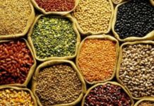 Reforma tributária já impõe adaptações obrigatórias ao produtor rural