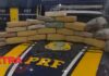 PRF apreende quase 25 kg de droga durante fiscalização em Vilhena