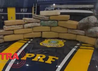 PRF apreende quase 25 kg de droga durante fiscalização em Vilhena