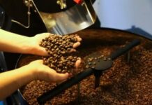 Café vai ficar mais barato? Especialistas explicam quando o consumidor pode sentir alívio