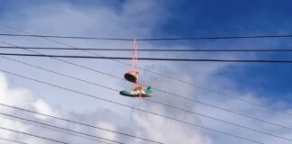 Energisa registra mais de 200 ocorrências com objetos na rede elétrica em 2025 em RO