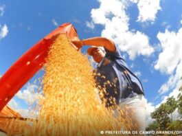 Produção de grãos pode chegar a 353,4 milhões de toneladas