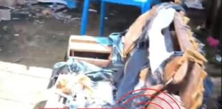 Criança de 2 anos é encontrada em situação de abandono e extrema insalubridade em Cerejeiras