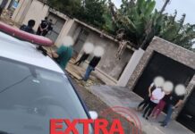 Vigilância Sanitária e PM realizam resgate de cerca de 40 cães após determinação judicial em Vilhena